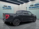 2023 F-150 Thumbnail 5