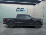 2023 F-150 Thumbnail 6