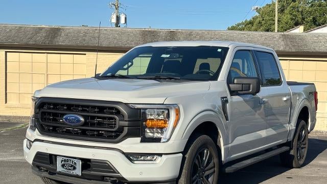 Preowned 2023 Ford F-150 XL for Sale