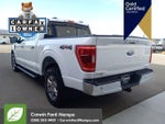 2023 F-150 Thumbnail 7