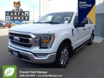 2023 F-150 Thumbnail 9