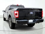 2023 F-150 Thumbnail 6