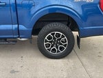 2023 F-150 Thumbnail 8