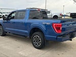 2023 F-150 Thumbnail 9