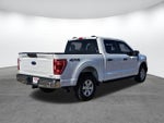 2023 F-150 Thumbnail 4
