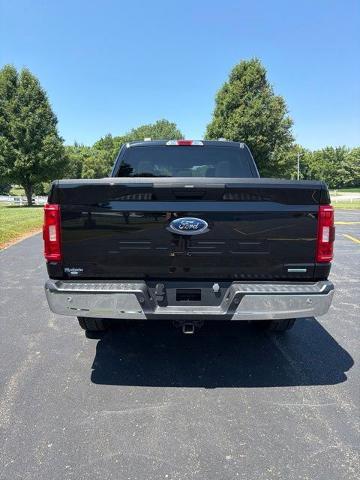 2023 Ford F-150 XL — photo 1 of 24