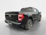 2023 F-150 Thumbnail 7