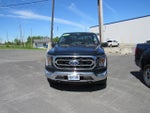 2023 F-150 Thumbnail 3