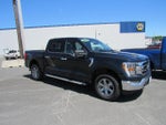 2023 F-150 Thumbnail 4