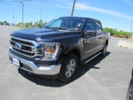 2023 F-150 Thumbnail 5
