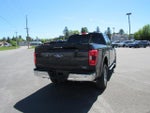 2023 F-150 Thumbnail 7