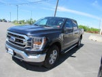 2023 F-150 Thumbnail 9
