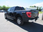 2023 F-150 Thumbnail 12