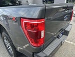 2023 F-150 Thumbnail 5