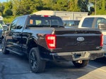 2023 F-150 Thumbnail 5