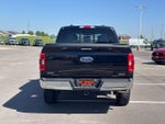 2023 F-150 Thumbnail 4