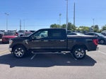 2023 F-150 Thumbnail 6