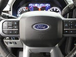 2023 F-150 Thumbnail 10