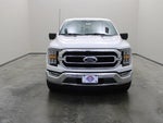 2023 F-150 Thumbnail 14