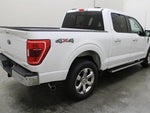 2023 F-150 Thumbnail 16