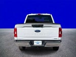2023 F-150 Thumbnail 4