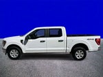 2023 F-150 Thumbnail 6