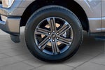 2023 F-150 Thumbnail 9