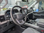 2023 F-150 Thumbnail 2