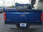 2023 F-150 Thumbnail 4