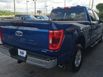 2023 F-150 Thumbnail 5