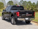 2023 F-150 Thumbnail 4