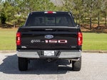 2023 F-150 Thumbnail 5