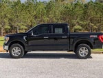 2023 F-150 Thumbnail 8