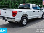 2023 F-150 Thumbnail 6
