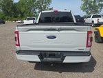 2023 F-150 Thumbnail 4