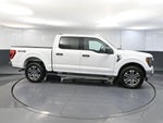 2023 F-150 Thumbnail 4