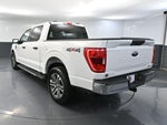 2023 F-150 Thumbnail 9