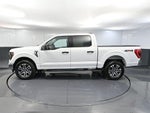 2023 F-150 Thumbnail 10
