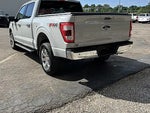 2023 F-150 Thumbnail 5