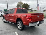 2023 F-150 Thumbnail 5