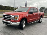 2023 F-150 Thumbnail 7