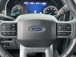 2023 F-150 Thumbnail 18