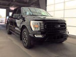 2023 F-150 Thumbnail 4