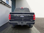 2023 F-150 Thumbnail 4