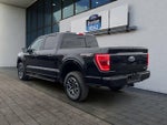 2023 F-150 Thumbnail 5