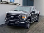 2023 F-150 Thumbnail 7