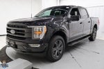 2023 F-150 Thumbnail 6