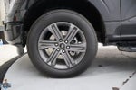 2023 F-150 Thumbnail 8