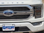 2021 F-150 Thumbnail 7