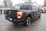 2021 F-150 Thumbnail 5